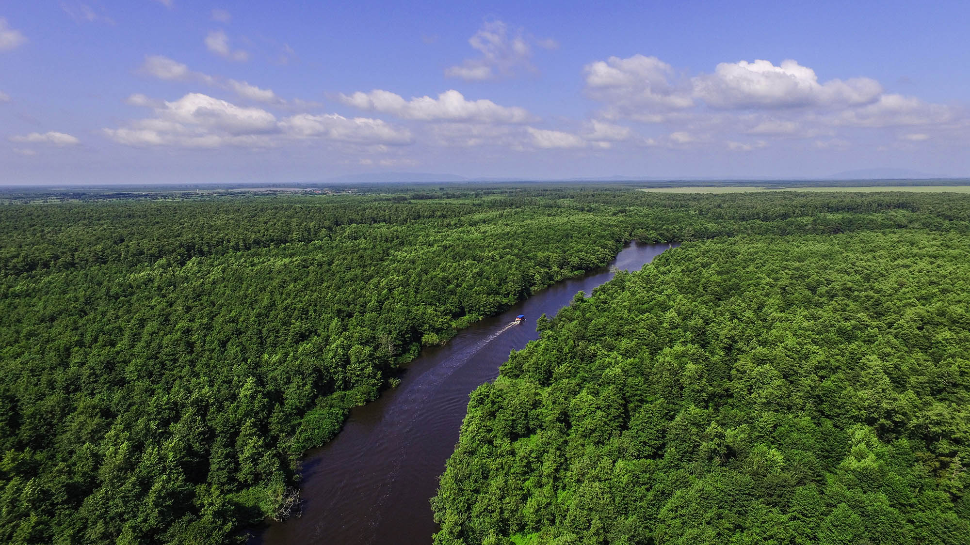 Водно-болотные угодья национального парка Колхети